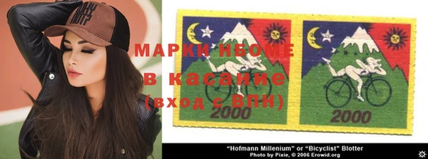 дживик Балахна