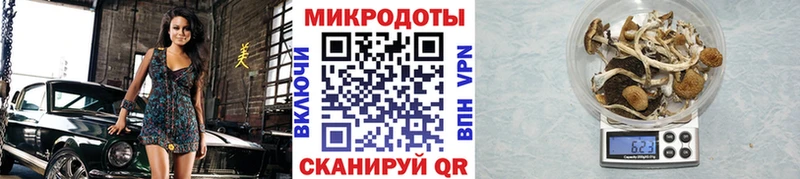 Галлюциногенные грибы Psilocybine cubensis  Свободный 